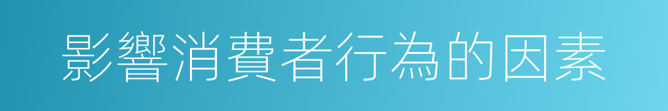 影響消費者行為的因素的同義詞