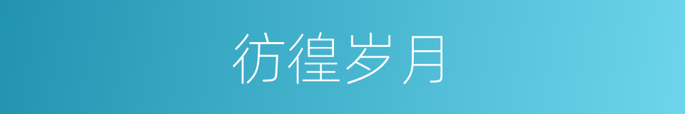 彷徨岁月的同义词