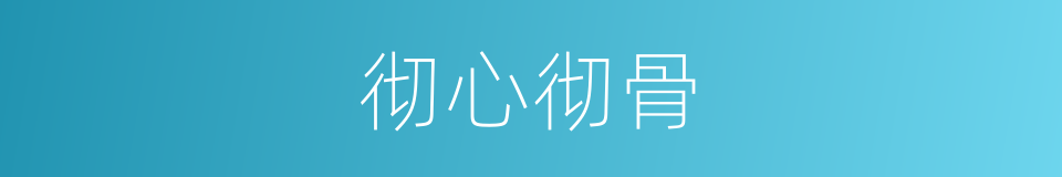 彻心彻骨的意思