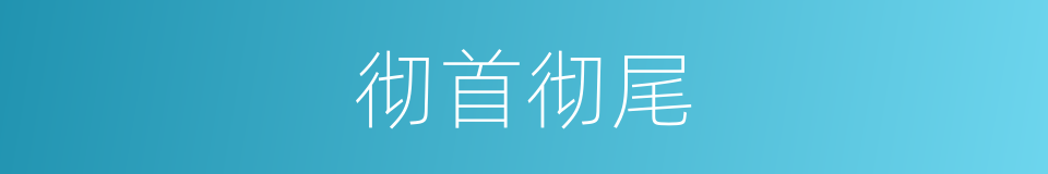 彻首彻尾的同义词
