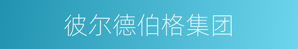 彼尔德伯格集团的同义词