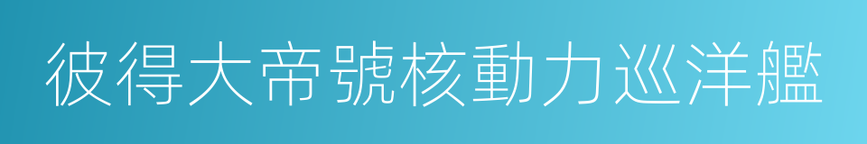 彼得大帝號核動力巡洋艦的同義詞