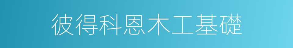彼得科恩木工基礎的同義詞