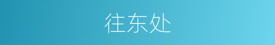往东处的同义词