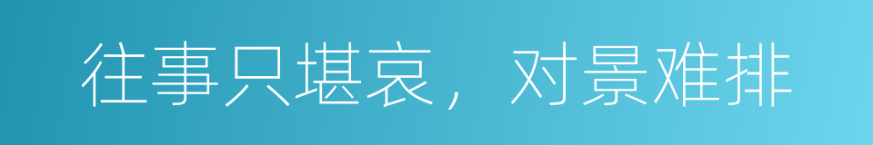 往事只堪哀，对景难排的同义词