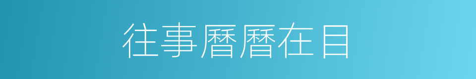 往事曆曆在目的同義詞