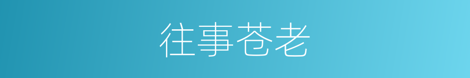 往事苍老的同义词