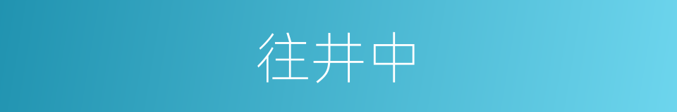 往井中的同义词