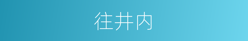 往井内的同义词