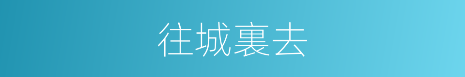 往城裏去的同義詞