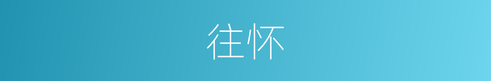 往怀的意思