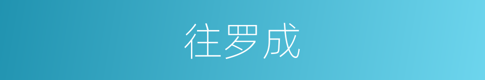 往罗成的同义词