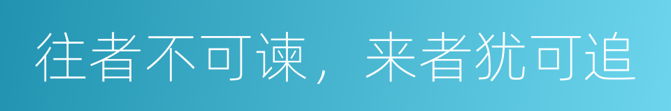 往者不可谏，来者犹可追的同义词