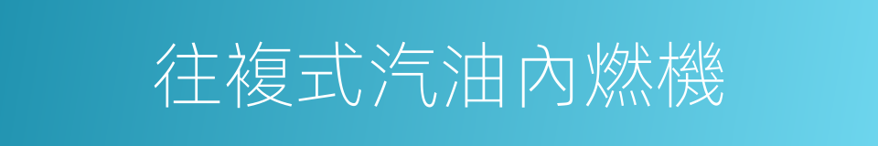 往複式汽油內燃機的同義詞