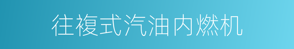 往複式汽油内燃机的同义词