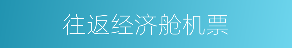 往返经济舱机票的同义词