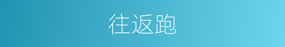 往返跑的同义词