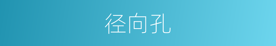 径向孔的同义词