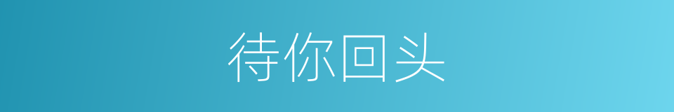 待你回头的同义词