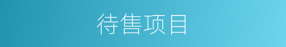 待售项目的同义词