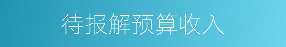 待报解预算收入的同义词