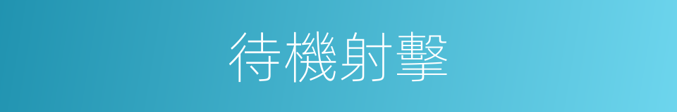 待機射擊的同義詞