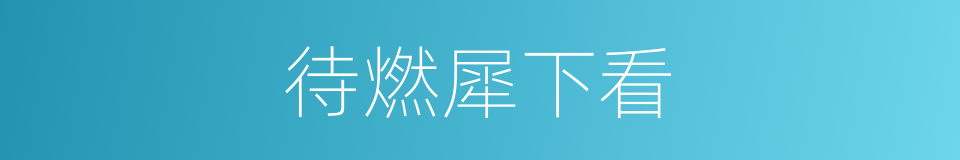 待燃犀下看的同义词
