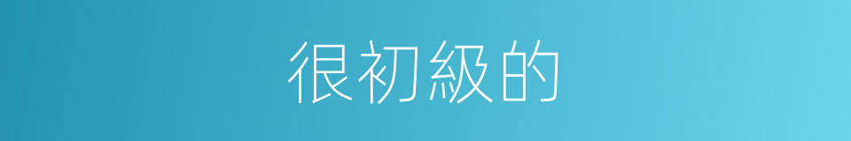 很初級的的同義詞