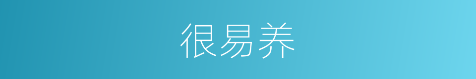 很易养的同义词