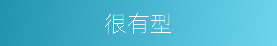 很有型的意思