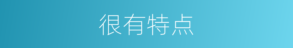 很有特点的同义词
