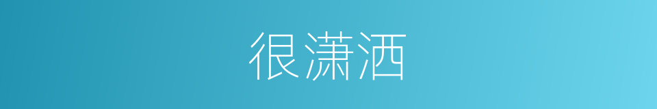 很潇洒的意思
