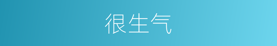 很生气的意思