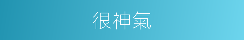 很神氣的意思