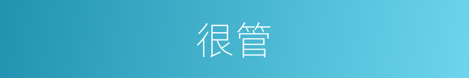很管的意思