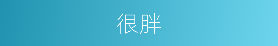 很胖的意思