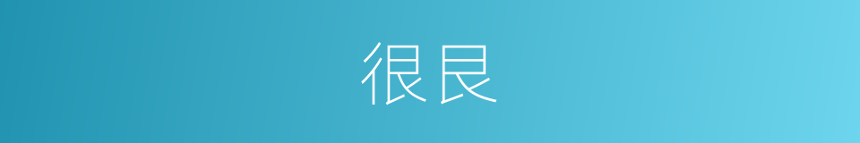 很艮的意思