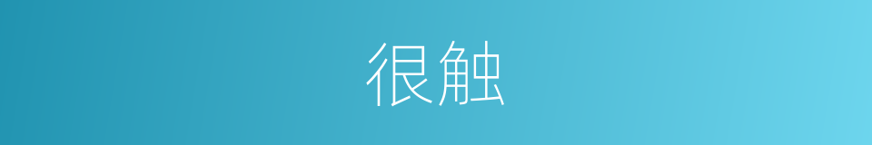 很触的意思