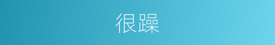 很躁的意思