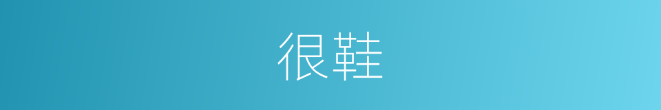 很鞋的意思