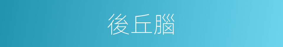 後丘腦的意思