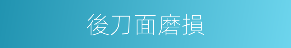 後刀面磨損的同義詞