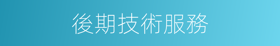 後期技術服務的同義詞