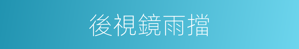 後視鏡雨擋的同義詞