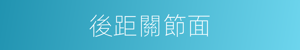 後距關節面的同義詞