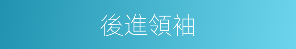 後進領袖的意思