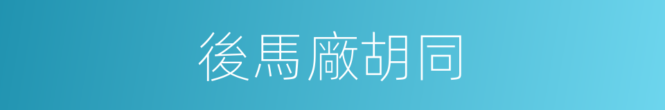 後馬廠胡同的同義詞