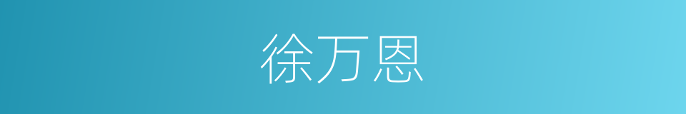 徐万恩的同义词