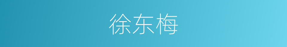 徐东梅的同义词