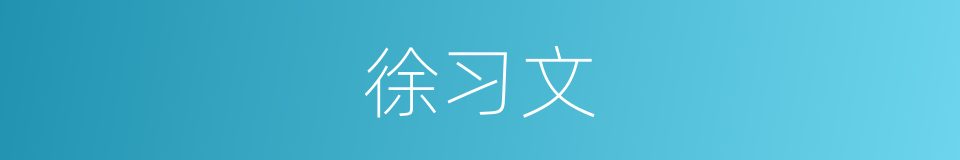 徐习文的同义词